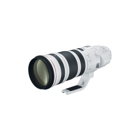 Lente Canon EF 200-400mm F1.4 IS USM con Extender 1.4x